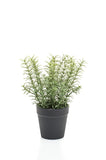 Artificial thyme 22 cm - 1 pot - Green