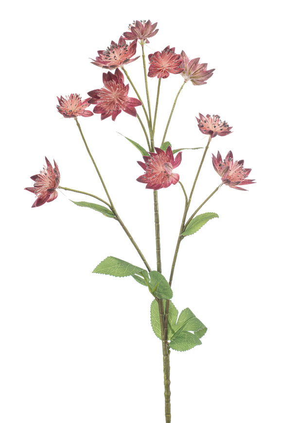 Artificial astrantia - 1 stem - Dark pink