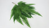 Mountain Fern preserved Earth Matters - 1 bunch - Green 700