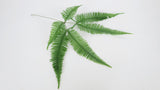 Mountain Fern preserved Earth Matters - 1 bunch - Green 700
