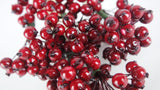 Berry cluster on stem - 1 Bunch - Red