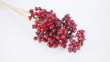 Berry cluster on stem - 1 Bunch - Red