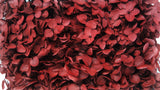 Hortensia preservada Anna - 1 cabeza - Burdeos