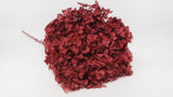 Hortensia preservada Anna - 1 cabeza - Burdeos