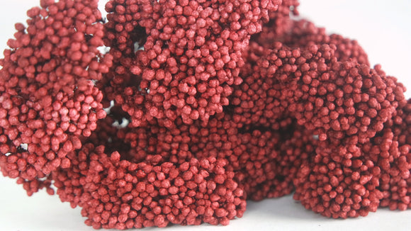 Diosmi stabilisé - 1 botte - Bordeaux