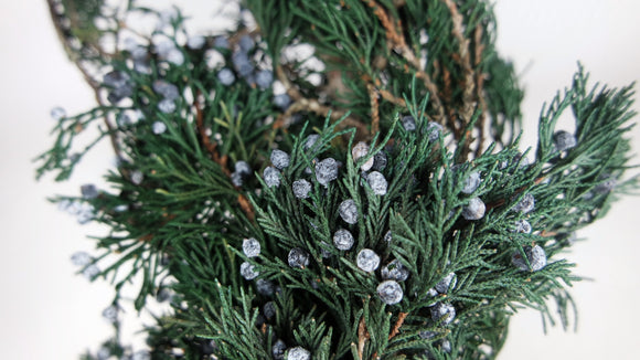 Juniper preserved Earth Matters - 1 bunch - Green 700