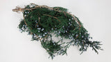 Juniper preserved Earth Matters - 1 bunch - Green 700