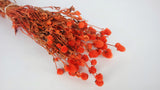 Gomphrena - 1 bunch - Orange