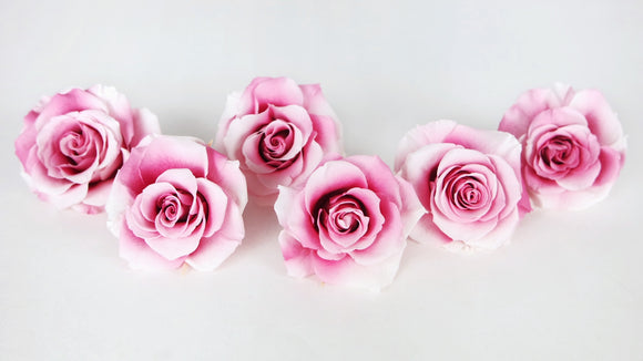 Roses preserved Grandeur Large Earth Matters - 6 heads - Champagne berry 121