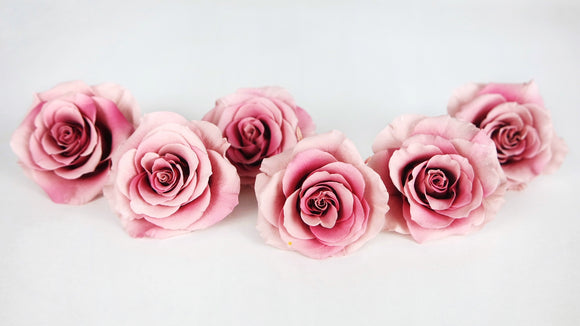 Roses preserved Grandeur Large Earth Matters - 6 heads - Mauve pink 192