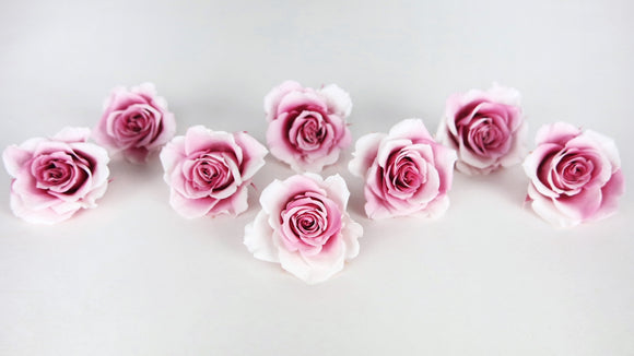 Roses preserved Grandeur Small Earth Matters - 8 heads - Champagne berry 121