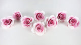 Roses preserved Grandeur Small Earth Matters - 8 heads - Champagne berry 121