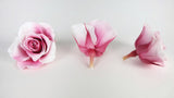 Roses preserved Grandeur Small Earth Matters - 8 heads - Champagne berry 121