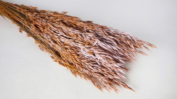 Dried oat - 1 bunch - Frozen orange