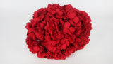 Hortensia preservada Kiara - 1 cabeza - Rojo vibrante