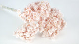 Italienische Strohblumen - 1 Strauß - Porcelain pink - Si-nature