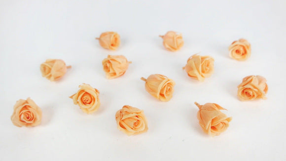 Preserved roses Kiara  2 cm - 12 rose heads - Perfect peach