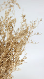 Dried limonium - 1 bunch - Gold
