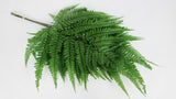 Fern preserved Earth Matters - 5 stems - Green 700