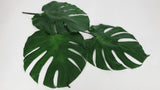 Preserved monstera - 3 large leaves - Green 700