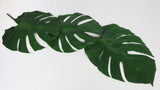 Preserved monstera - 3 large leaves - Green 700