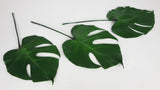 Preserved monstera - 3 small leaves - Green 700