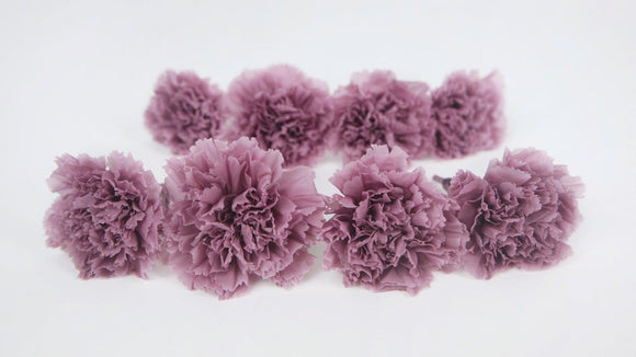 Carnations preserved Earth Matters - 8 pieces - Grayish purple 441