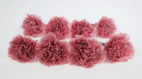 Carnations preserved Earth Matters - 8 pieces - Russet pink 173