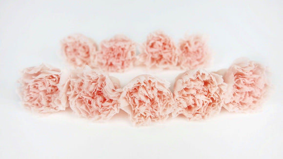 Carnations preserved Kiara - 9 heads - Pink blush