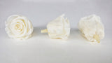 Roses stabilisées Kiara 5 cm - 8 têtes - Pearl white