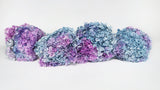 Preserved hydrangea Anna - 1 head - Rainbow purple/blue