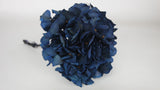 Hortensia Preservada - 1 Cabeza - Azul Zafiro