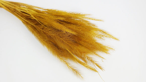 Tail Grass - 1 Bunch - Saffron yellow
