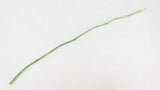 Preserved flower stems Earth Matters - 10 stems - Green