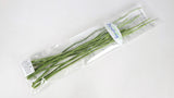 Preserved flower stems Earth Matters - 10 stems - Green