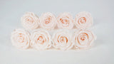 Preserved roses Kiara  5 cm - Bulk 378 heads - Pink blush