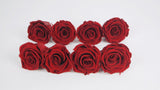 Stabilisierte Rosen Kiara 5 cm - 8 Stück - Royal Red - Si-nature