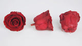 Preserved roses Kiara  5 cm - Bulk 378 heads - Royal red