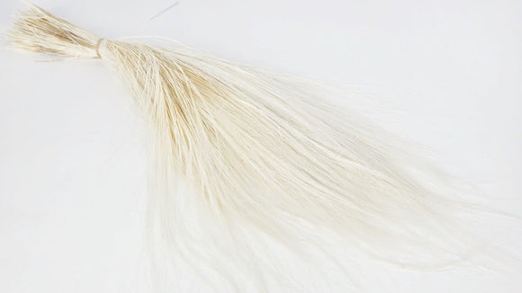 Barba grass preserved - 1 bunch - White