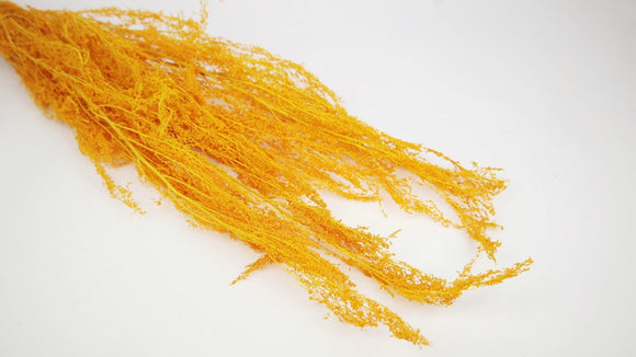 Dried mugwort - 1 bunch - Saffron yellow