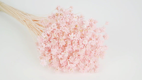 Dried hill flowers - 1 bunch - Light pink