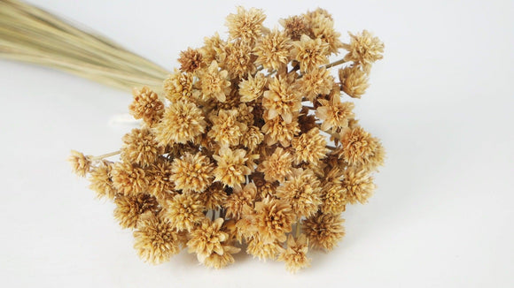 Dried hill flowers - 1 bunch - Natural colour
