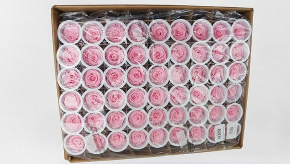 Preserved roses Kiara  5 cm - Bulk 378 heads - Bridal pink