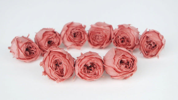 Roses stabilisées Cocotte Earth Matters - 9 têtes - Bon bon pink 171