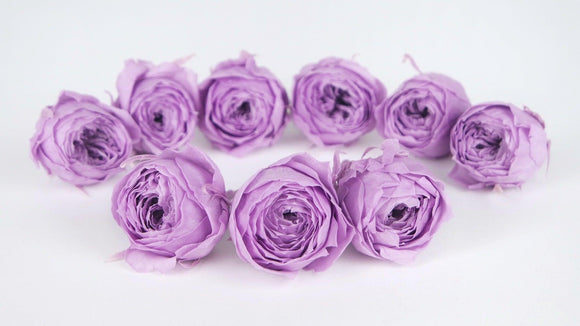 Roses preserved Cocotte Earth Matters - 9 heads - Sweet lilac 451