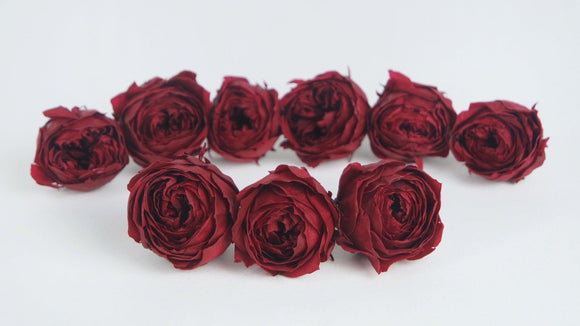 Roses stabilisées Cocotte Earth Matters - 9 têtes - Wine red 471