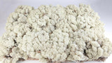 Stabilised lichen - 2,5 kg - Natural colour ivory