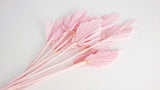 Dried Palm spear M - 10 stems - Light pink