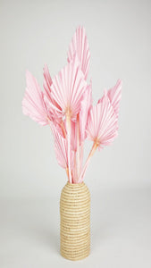 Dried Palm spear M - 10 stems - Light pink