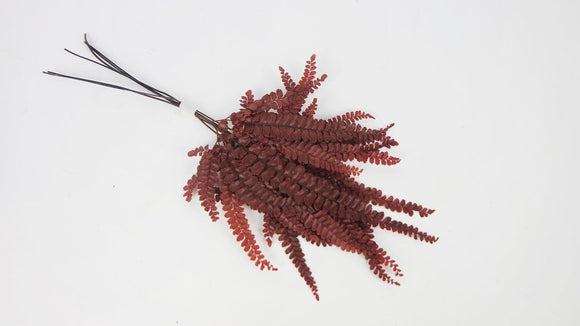 Felci fern preserved - 6 stems - Red